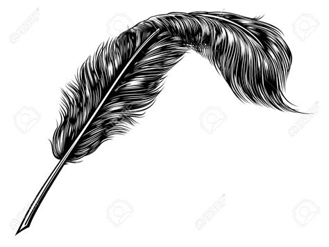 Product Feather Quill Pen Art Style Line Art