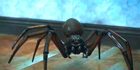 10 Scariest Spiders In Horror Movies Ranked