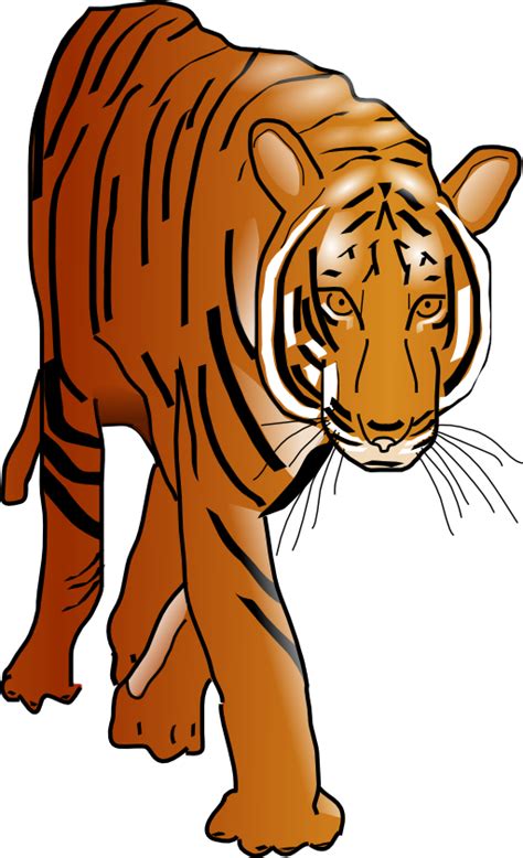 Tiger Clipart I2clipart Royalty Free Public Domain Clipart