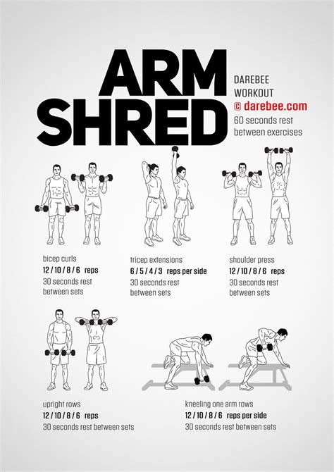 Arm Shred Workout Shred Workout Dumbell Workout Gym Workout Tips