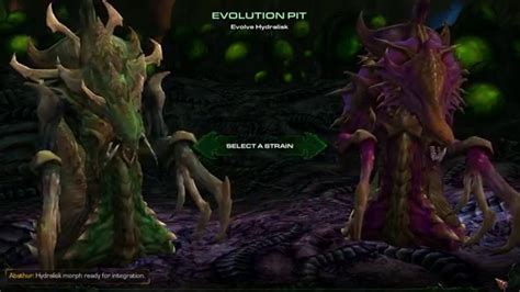 Starcraft Ii Heart Of The Swarm Evolution Mission Hydralisk Youtube