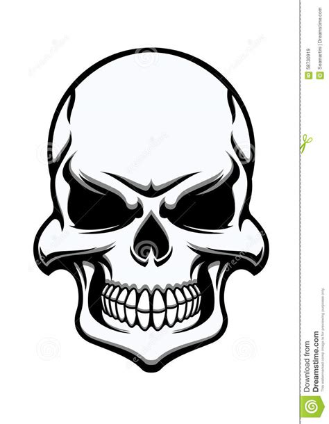 Black And White Eerie Human Skull Stock Vector Image