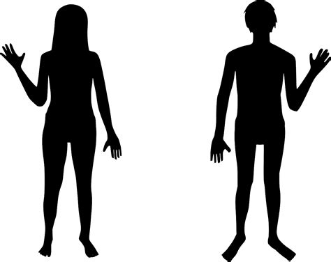 Svg Body Couple Anatomy Free Svg Image And Icon Svg Silh