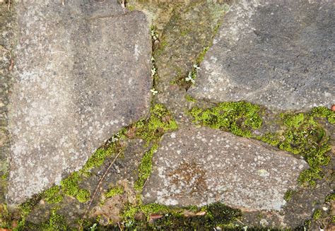 Closeup Image Of A Cement And Stone Wall Or Path Background