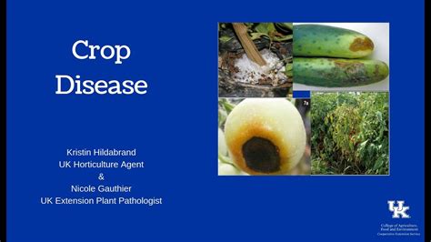 Crop Diseases Youtube