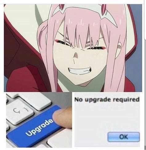 9 Darling In The Franxx Memes That Only Fans Will Know Otosection