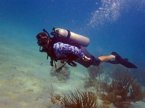 Meet The Crew Rainbow Reef Dive Center Key Largo Florida Keys