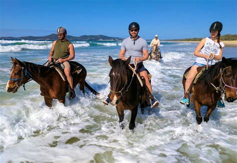 Noosa Horses Completely Private Tailored Beach Horse Rides Along