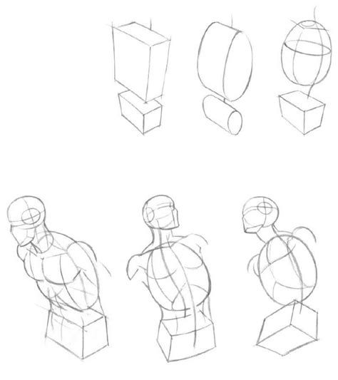 Figure Drawing Basics Aktzeichnen Menschliche Anatomie Kunst