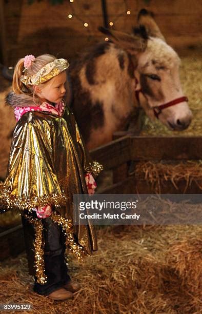 Pennywell Farm Hosts Traditional Nativity Photos And Premium High Res