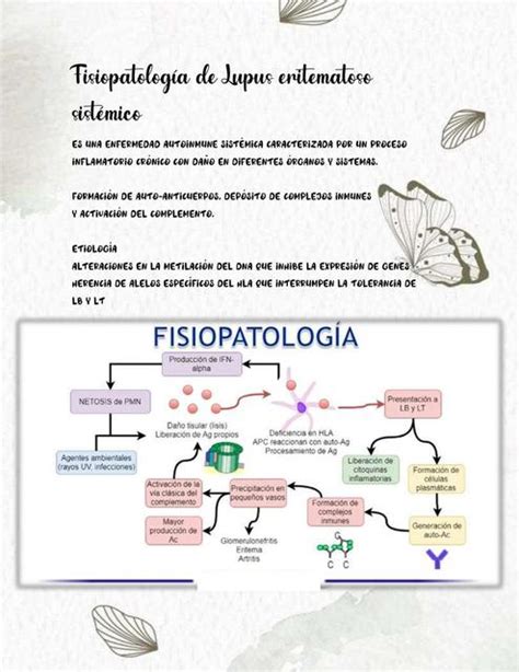 Fisiopatología De Lupus Eritematoso Sistémico Fraii Udocz