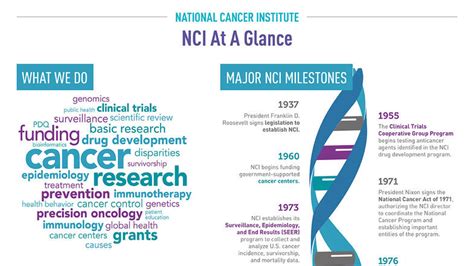 About Nci National Cancer Institute