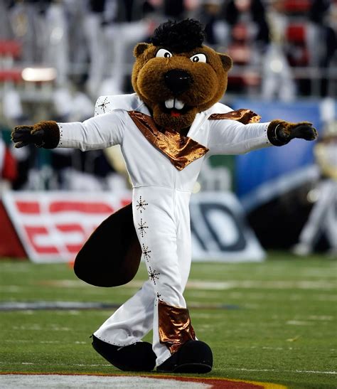 College Football Mascots Queer Cheers For The Straight Guys