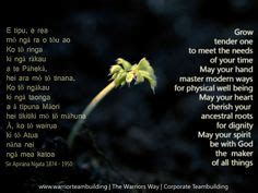 36 Unique Whakatauki Proverbs Ideas Maori Words Te Reo Maori