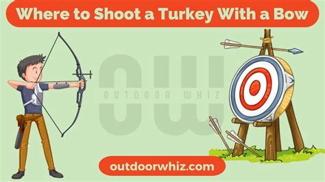Where To Shoot A Turkey With A Bow Fully Explained Outdoor Whiz