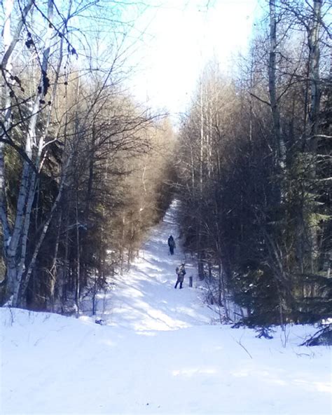 Bunchberry Meadows in the winter sun - Waskahegan Trail Association