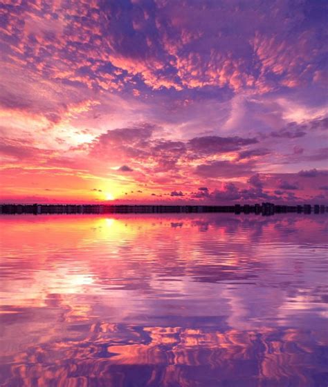 Purple Sunset Pics