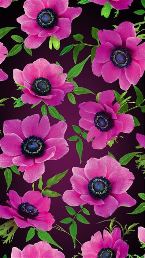 Fuschia Flower Wallpaper Floral Wallpaper Iphone Flower Phone