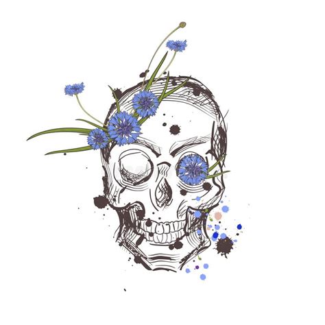 Skull With Flowers Vector Hand Drawn Skull With Wild Flowers Skull