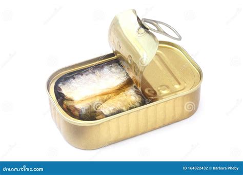 Tinned Sardines Stock Photo Image Of Preserves Packaged 164822432