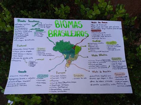 Biomas Brasileiros Biomas Bioma Brasileiro Mapas Mentais
