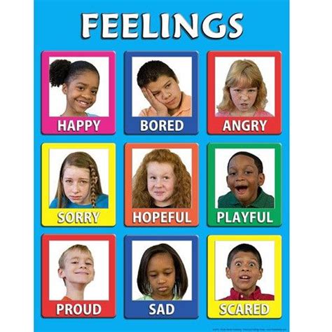 Young Childrens Feelings Poster Laminated Childtherapytoys