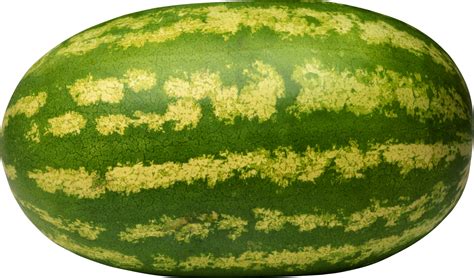 Watermelon | Watermelon, Watermelon seeds, Watermelon fruit