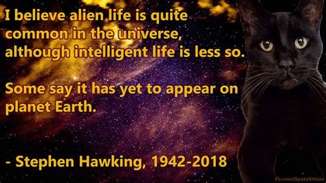 The 10 Best And Most Inspirational Stephen Hawking Quotes