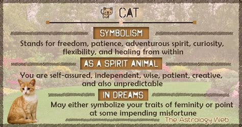 Numerous interpreters give a number of different interpretations of dreams about black cats. Cat Meaning and Symbolism | Cat spirit animal, Animal ...