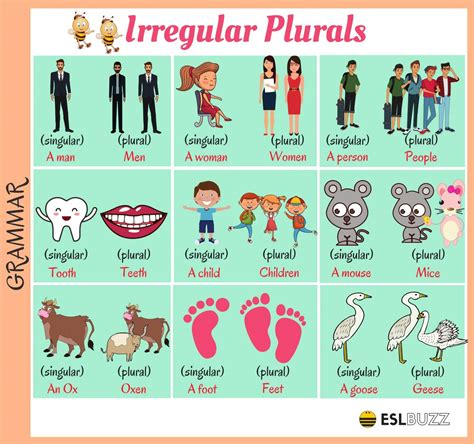 The plural form of sheep is sheep. Common Irregular Plural Nouns in English - ESLBuzz ...