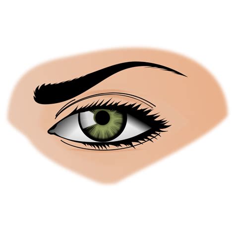 Unibrow Clipart Free Download On Clipartmag