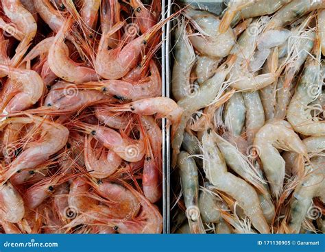 Prawns And Shrimps In The Fish Market Stock Image Image Of Food