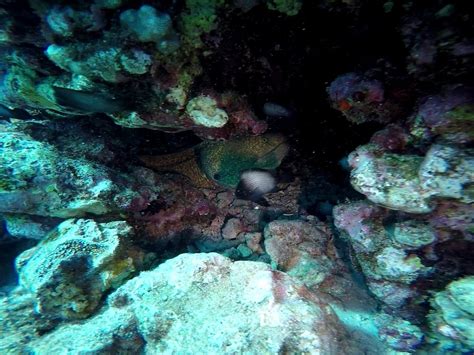 Molokai Fish And Dive Center Kaunakakai Lohnt Es Sich Mit Fotos