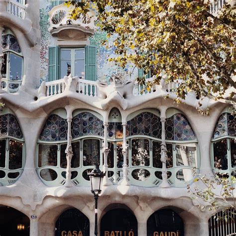 Casa BatllÓ Barcelona All You Need To Know Before You Go
