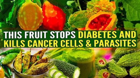 We did not find results for: You Need To Eat These Foods That Kill Off Cancer Stem ...