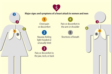 Shoulder pain relief will depend on the cause of the pain between shoulder blades and how severe it is. Heart Attack Signs & Symptoms | cdc.gov