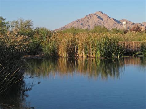 Clark County Wetlands Tips Van Locals Voor Las Vegas Tixnl
