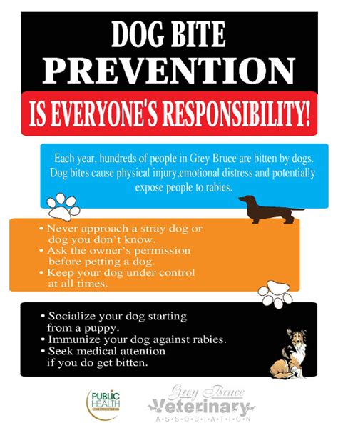 Gbhu Launches Dog Bite Prevention Campaign The Meaford Independent