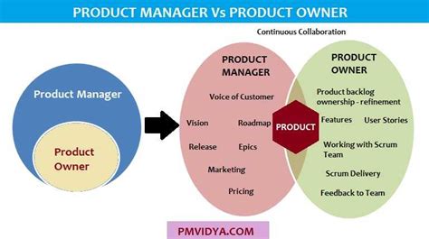 Product Manager V Product Owner Pm Vidya