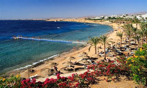 Sharm El Sheikh 2019 Best Of Sharm El Sheikh Egypt Tourism Tripadvisor