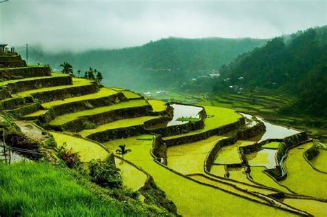 Ultimate Guide To The Banaue Rice Terraces Live Dream Discover