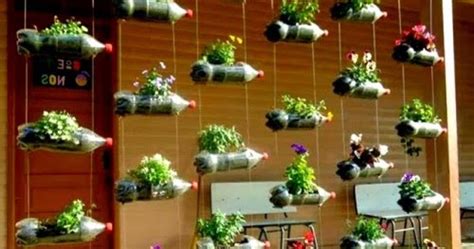 Salah satu cara sederhana membentuk konsep taman hidroponik di rumah dengan menanam di sebuah vas. Desain Rumah Hidroponik