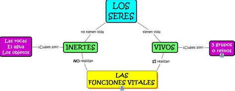 Seres Vivos E Inertes 3º Tipos De Seres