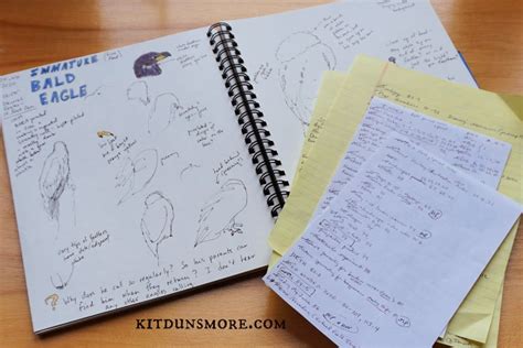 How To Index Your Nature Journal Kit Dunsmores Blog
