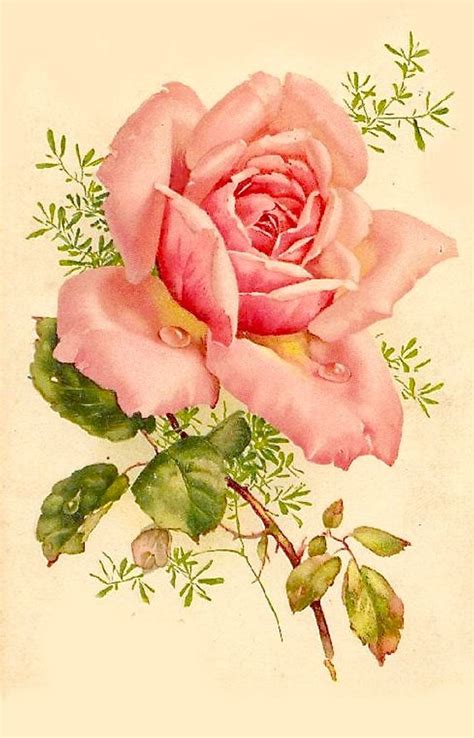 Vintage Pink Dewy Rose Graphic Image Art Fabric Block Doodaba Etsy