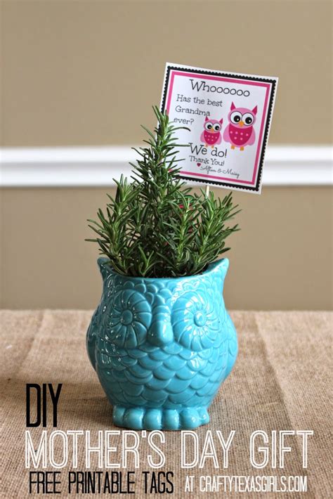 Happy mothers day got tea cups at thrift store glued saucers to cups and planted succulents as gifts for volunteers at church. Crafty Texas Girls: DIY Gift Idea with an Owl Printable ...