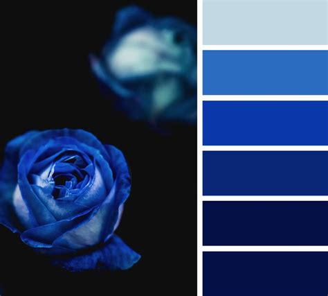 Midnight Blue And Royal Blue Color Schemecolor Palette Blue Color