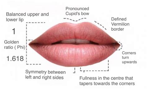 Lip Fillers Hamilton Luscious Lips Botox Clinic Hamilton