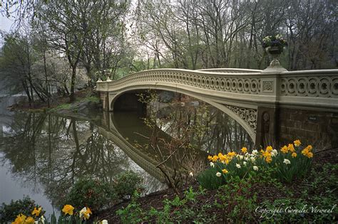 Central Park Spring Cornelis Verwaal Photography