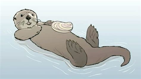 How To Draw A Sea Otter Face